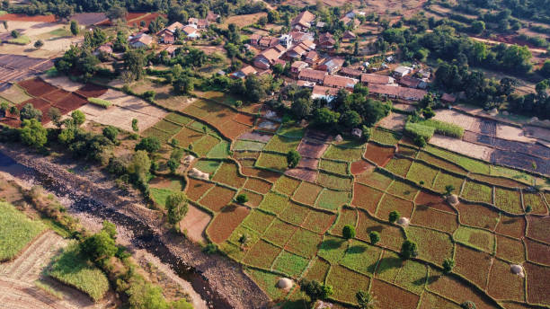 The fields are rectangular, creating a beautiful pattern and a small village with few houses nearby.  The overall tone of the photo is bright and sunny, suggesting a warm and bountiful agricultural landscape. It is a vast expanse of fresh farmlands.
