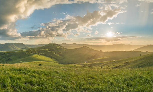 istock Evening rural landscape, the setting sun, sunset, spring nature, meadows 1473713055