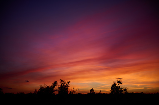 Calm multicolored sky above the contour of trees