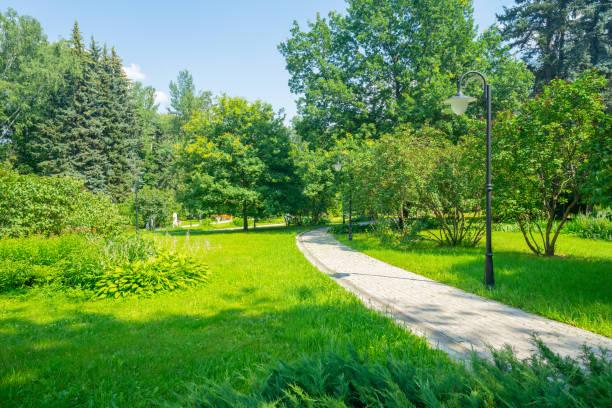 istock Summer park trees and alleys 1473714255