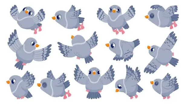 Vector illustration of Flying pigeon. Cartoon bird character in flight, cute mascot with funny face, colorful flat dove animal clip art. Vector pigeon collection isolated on white