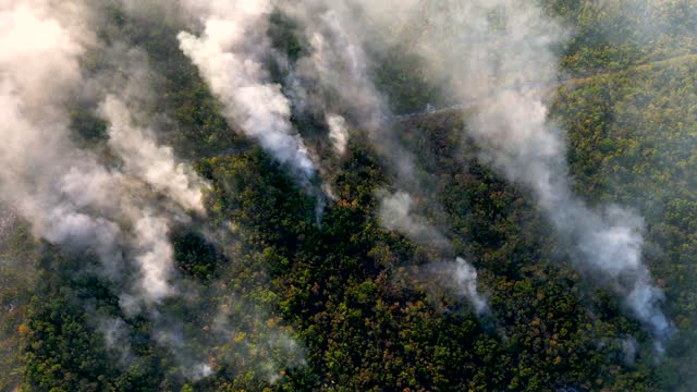 Aerial view of white smoke from wildfire in the fields during drought and hot weather. Global effects of climate change. Negligence of people causes fire in the forest