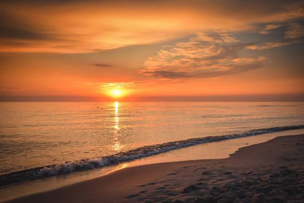 istock Colorful summer landscape with a water theme. 1473720113