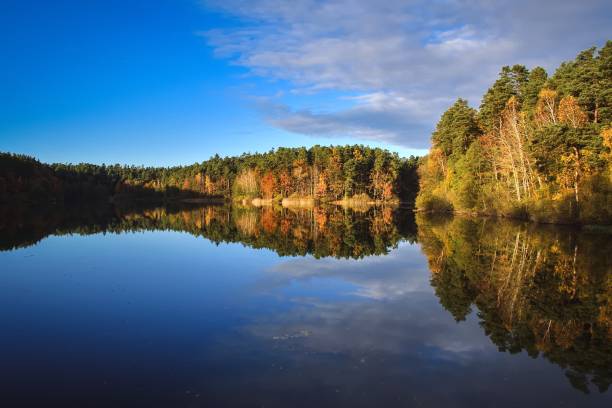 istock Autumn scene by the water. 1473720131