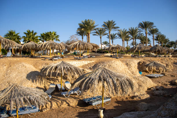 istock Desert coast line with dark blue water, palm trees 1473723425