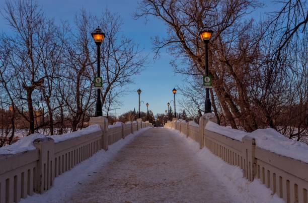 la pasarela que cruza el congelado río assiniboine hacia el parque assiniboine, winnipeg, manitoba, canadá. - manitoba winnipeg winter bridge fotografías e imágenes de stock