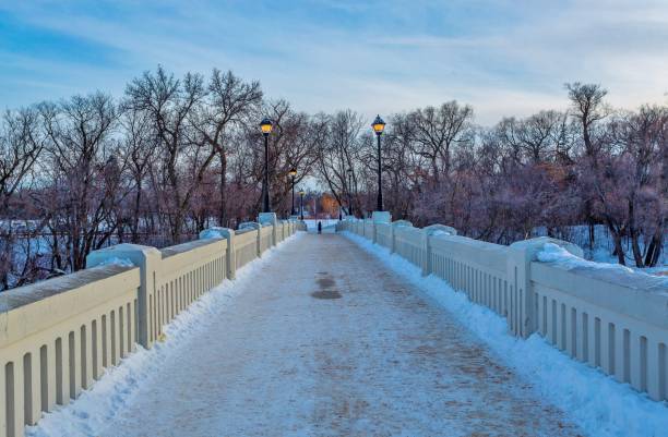 kładka przez zamarzniętą rzekę assiniboine do assiniboine park, winnipeg, manitoba, kanada. - manitoba winnipeg winter bridge zdjęcia i obrazy z banku zdjęć