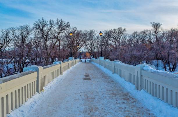 the footbridge across the frozen assiniboine river to assiniboine park, winnipeg, manitoba, canada. - manitoba winnipeg winter bridge imagens e fotografias de stock