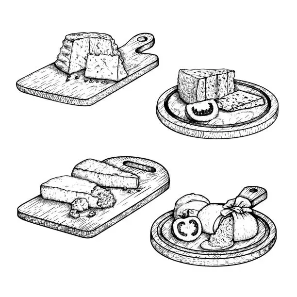 Vector illustration of Traditional Italian cheese set. Ricotta, Burratta, Gorgonzola and Parmesan with basil leaves and tomatoes on the cutting wooden board. Hand drawn sketch style. Vector illustration isolated on white.