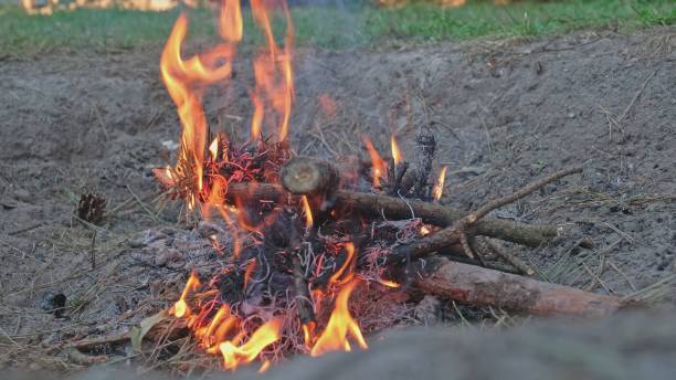 lagerfeuer mit hellen feuerflammen und heißer glut aus brennenden trockenen reisigzweigen und zweigen und in der sicheren feuerstelle langsam - fire pit fire camping burning stock-fotos und bilder