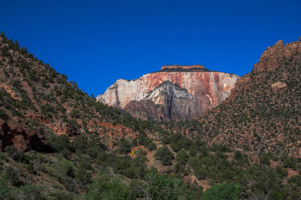 istock On The Road to Zion NP 1473736974