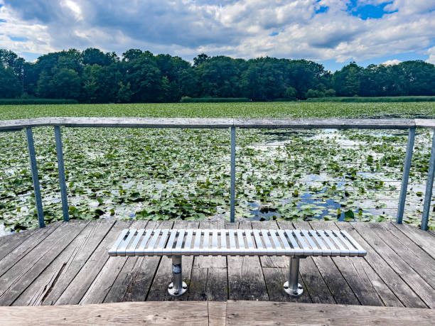 590+ Parc Urbain National De La Rouge Photos, taleaux et images libre