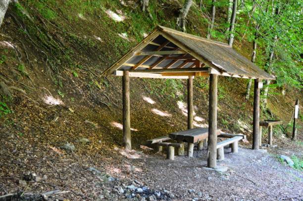istock wooden canopy with benches and a table at the picnic area 1473741966
