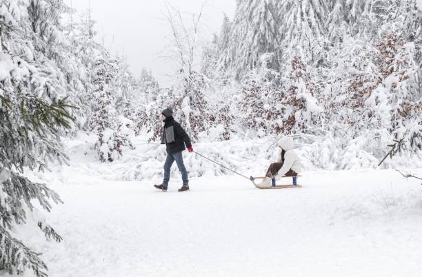 istock A young guy rides a girl on a sleigh in the forest. 1473742256