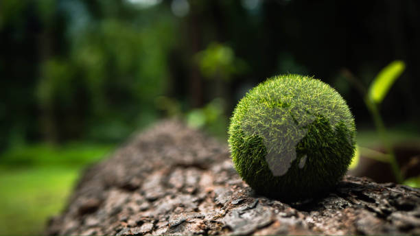 istock Net zero and carbon neutral concept. Net zero greenhouse gas emissions target. Climate neutral long term strategy on a green background. 1473742353