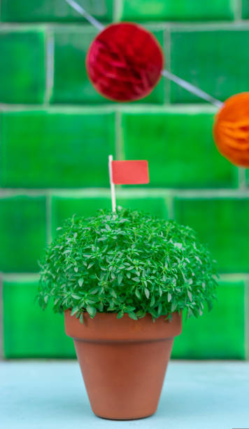 istock Manjerico plant with flag against green tile 1473742451