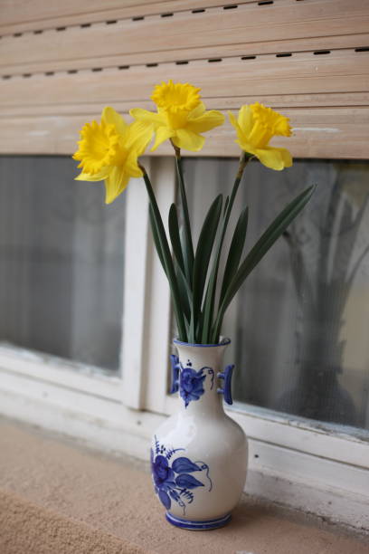 istock Yellow flowers in a blue and white vase 1473745858