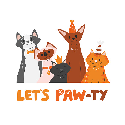 Different cat breeds celebrating birthday. Cat pet party concept with handwritten lettering isolated. Cute kittens friends festival pawty. Domestic animal pawty hand drawn flat vector illustration