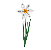 istock Narcissus flower with leaves illustration 1473746999