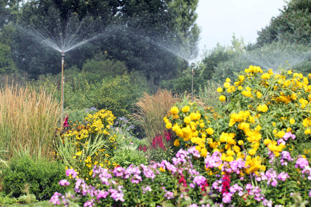 istock Sprinkler system in the flower garden. 1473749419