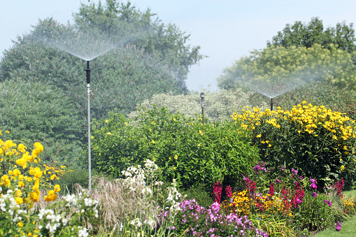 Path through the flower garden with sprinkler system