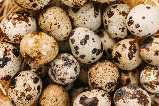 Close up of quail eggs