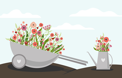 The decorative flower bed in the garden wheelbarrow and bouquet in the watering can in the garden