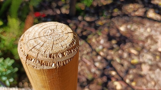 The top of a wooden rod or cylinder driven into the ground in place of a post. High quality photo