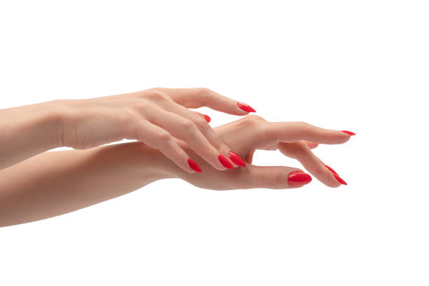 istock Woman hands with red nails isolated on a white background. Red nail polish. 1473757797