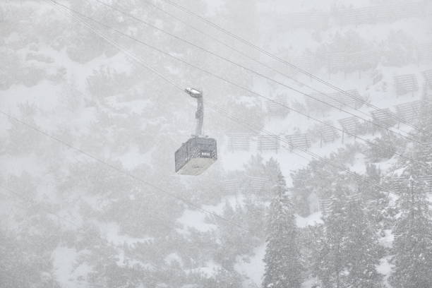 Snow-covered landscape and evergreens in Austria