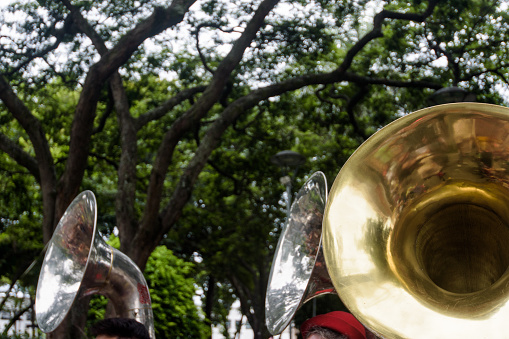 Three musical instruments ( Tuba ) against the background of trees at Belo Horizonte Carnival