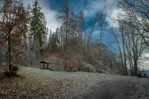 Landscape near Semnicka rock in cold winter morning stock photo