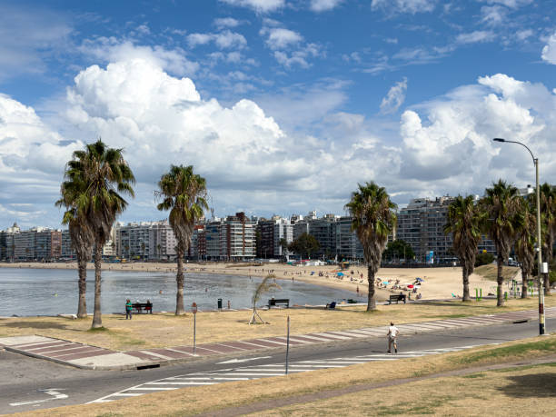 istock Montevideo, Uruguay city beach 1473771440