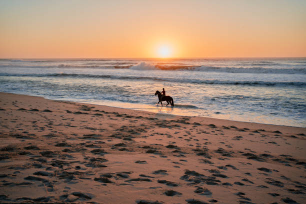 istock Sunset horse riding 1473771574