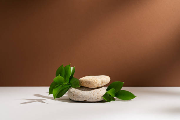 istock Empty stone podium and green leaves with lights and shadows on brown background. Backdrop with round natural rocks and branches. Pedestal or showcase for presentation. Minimal wabi sabi concept 1473776861
