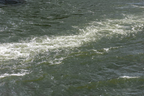 Small waves in green dirty water