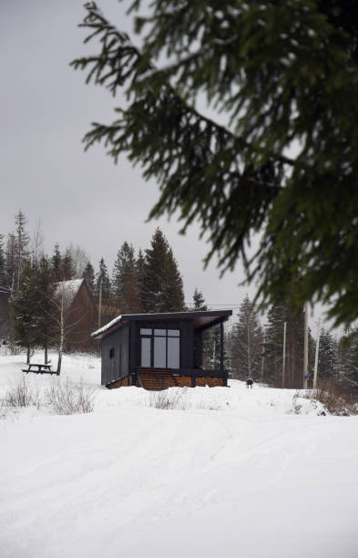 istock Front view of a Modern black tiny cabin on snowy mountains 1473780200