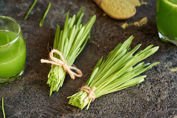 two bundles of fresh green barley grass with homemade juice - barley grass seedling green imagens e fotografias de stock