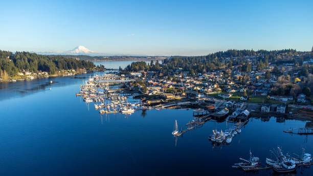 ワシントン州ギグハーバーの春 - northwest puget sound mt rainier nature ストックフォトと画像