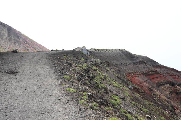istock Back view of horses passing along the crater 1473790888