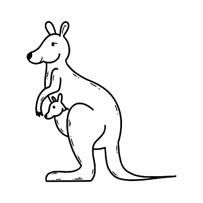 Kangaroo mom and baby. Animals of Australia. Vector illustration of doodles. Sketch.