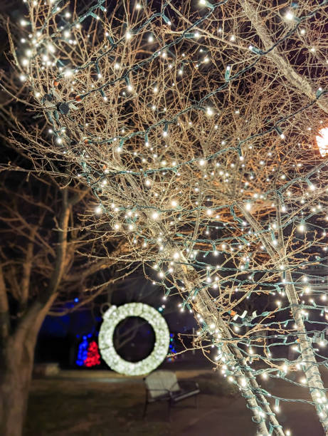 istock cool evening winter scenes during Christmas in Belmont NC 1473796279