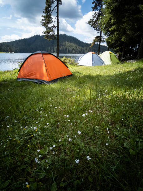 istock Camping site with tents at mountain lake shore. 1473800128