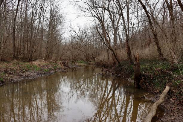 istock Creek in the Winter Woods 1473808023