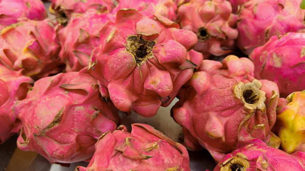 istock High Angle View of fresh dragon fruit in market stall 1473816253