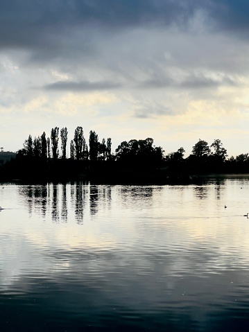 Vertical landscape photo of trees, in silhouette and a stormy sky reflecting on the waters of the wildlife refuge at Dangar’s Lagoon, a habitat for migratory and endemic bird species near Armidale, New England high country, NSW.