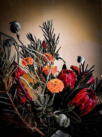 Vertical closeup photo of Poppy seed heads, orange Zinnia flowers, Protea leaves and red flowers, Rosella plant red seedpods and Banksia branches with leaves, arranged in a bouquet in a vase. Saturated colour, dark areas and desaturated Poppy seedpods.