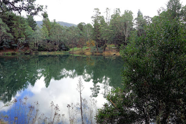 istock Harrietville, Victoria, Australia 1473825541