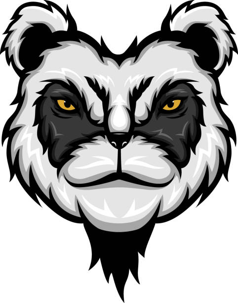 Cartoon panda head mascot design Vector illustration of Cartoon panda head mascot design are panda bears aggressive stock illustrations