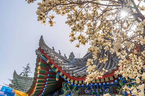 Spring Scenery of Guangren Temple, Xi'an, Shaanxi Province, China